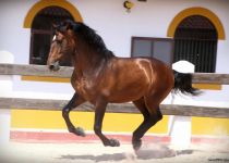 4W5A6956 (Copiar)